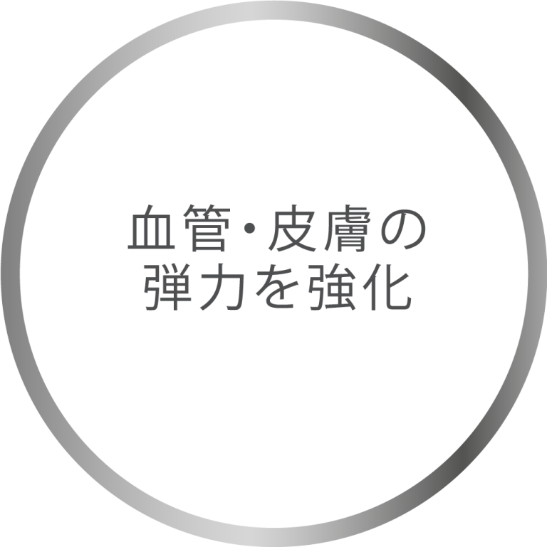 血管・皮膚の 弾力を強化
