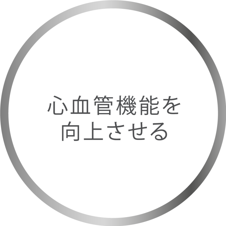 心血管機能を 向上させる