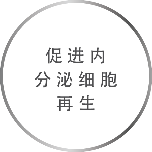 促进内分泌细胞再生