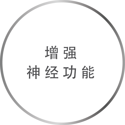 增强神经功能