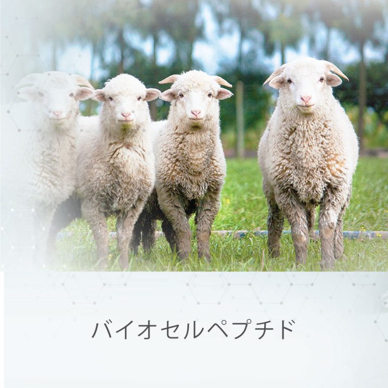 バイオセルペプチド