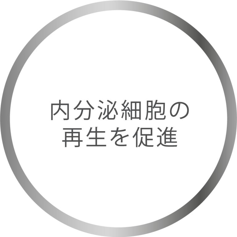 内分泌細胞の 再生を促進