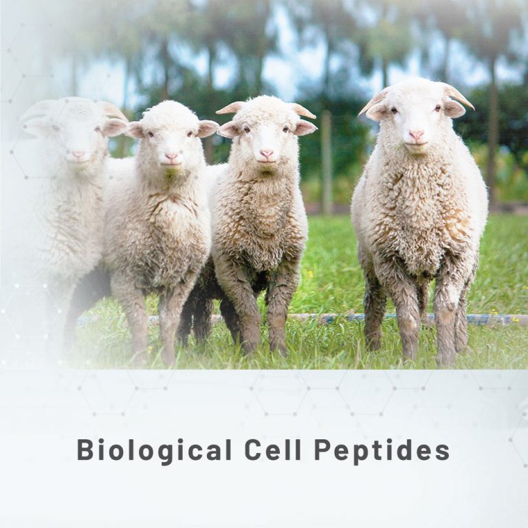 Biological Cell Peptides